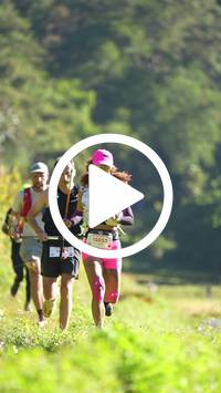 BIB:  <button type="button" onclick="openModal(26572843)" class="btn btn-primary btn-sm float-right" data-toggle="modal" data-target=".modal-high-quality">
                <i class="fa fa-download"></i> Download
                </button>